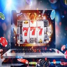 79kung